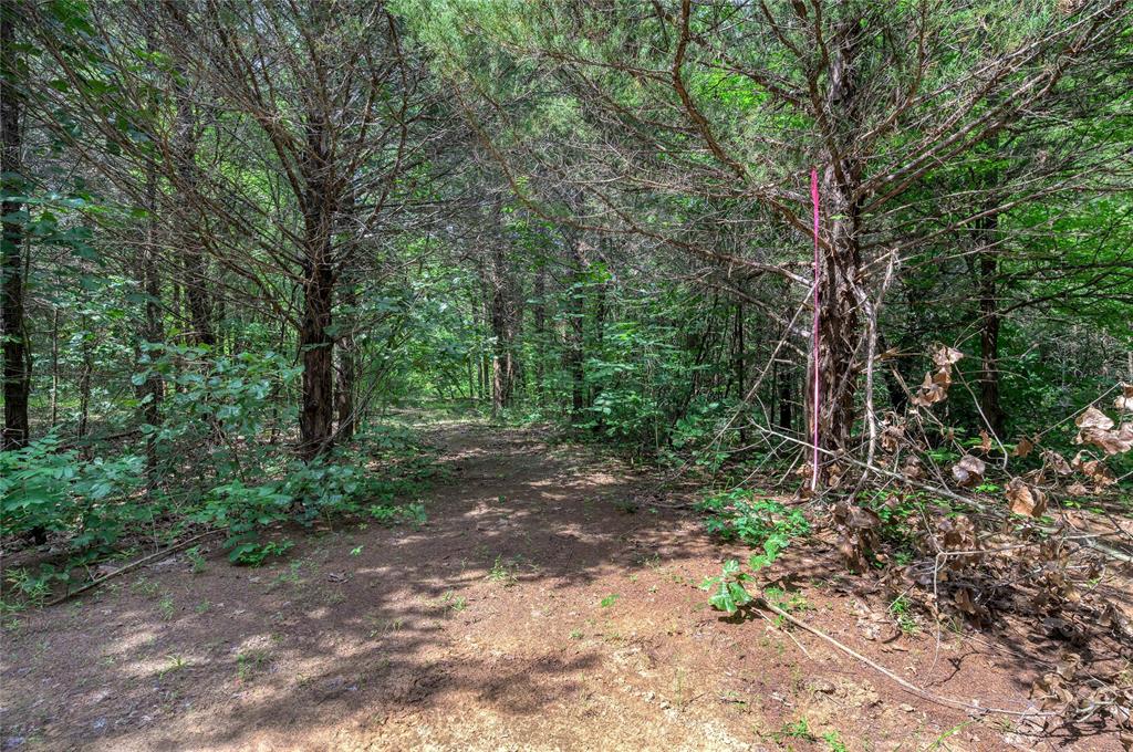 CROSS TIMBER ESTATES - Land