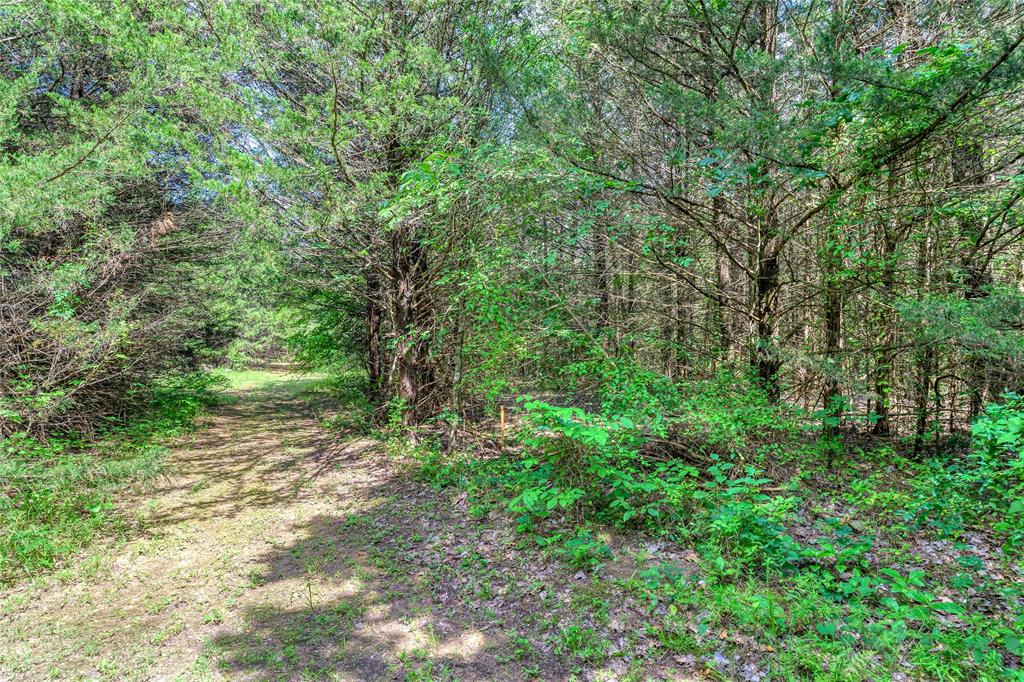 CROSS TIMBER ESTATES - Land