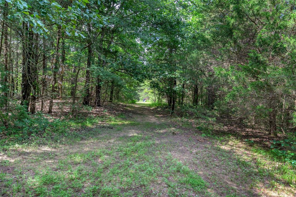 CROSS TIMBER ESTATES - Land