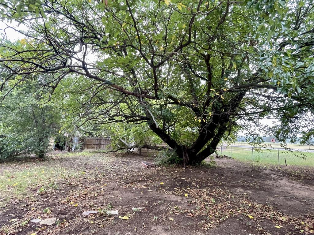 Original Alvord - Residential