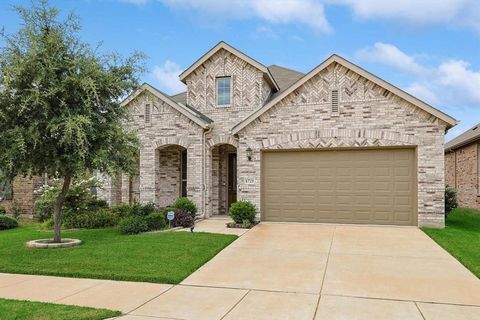 1721 Spoonbill Drive Little Elm TX 75068