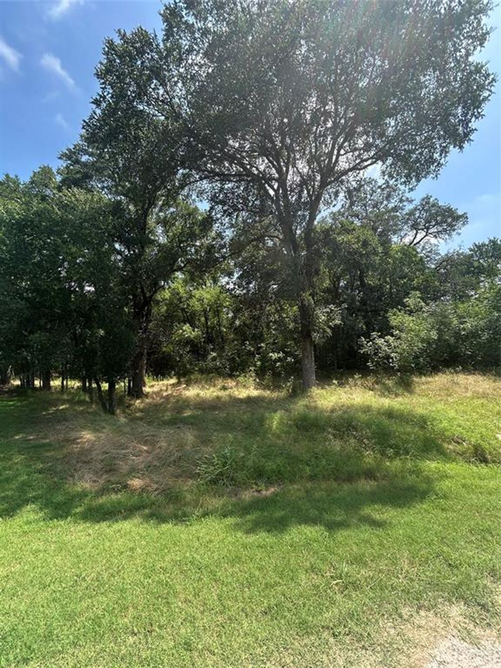 Photo of 13011 Crestwood Drive, Whitney, TX 76692 (MLS # 21307333)