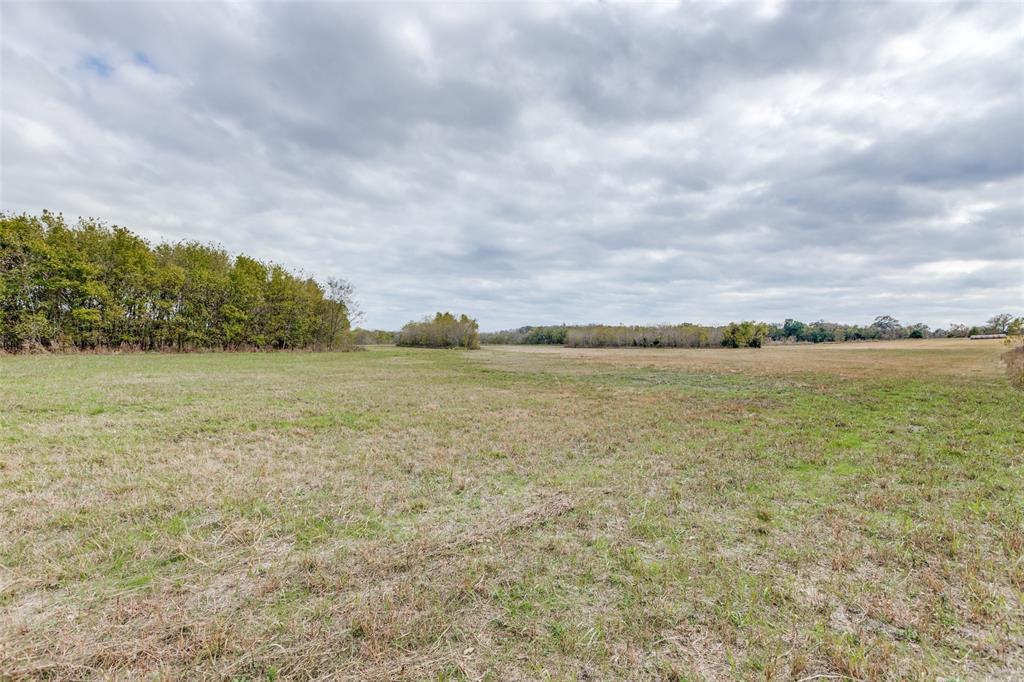 (TIR) TRENTON ISD RURAL - Land