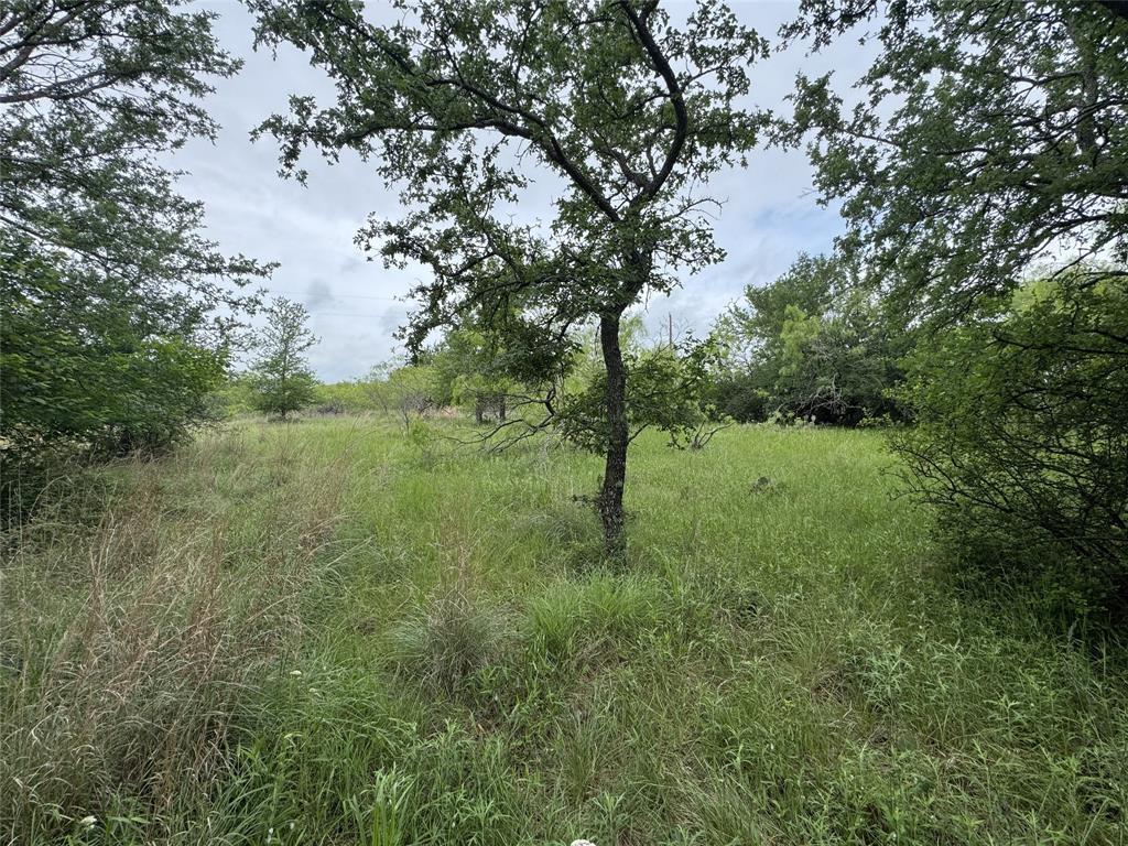 North Star Pointe - Land