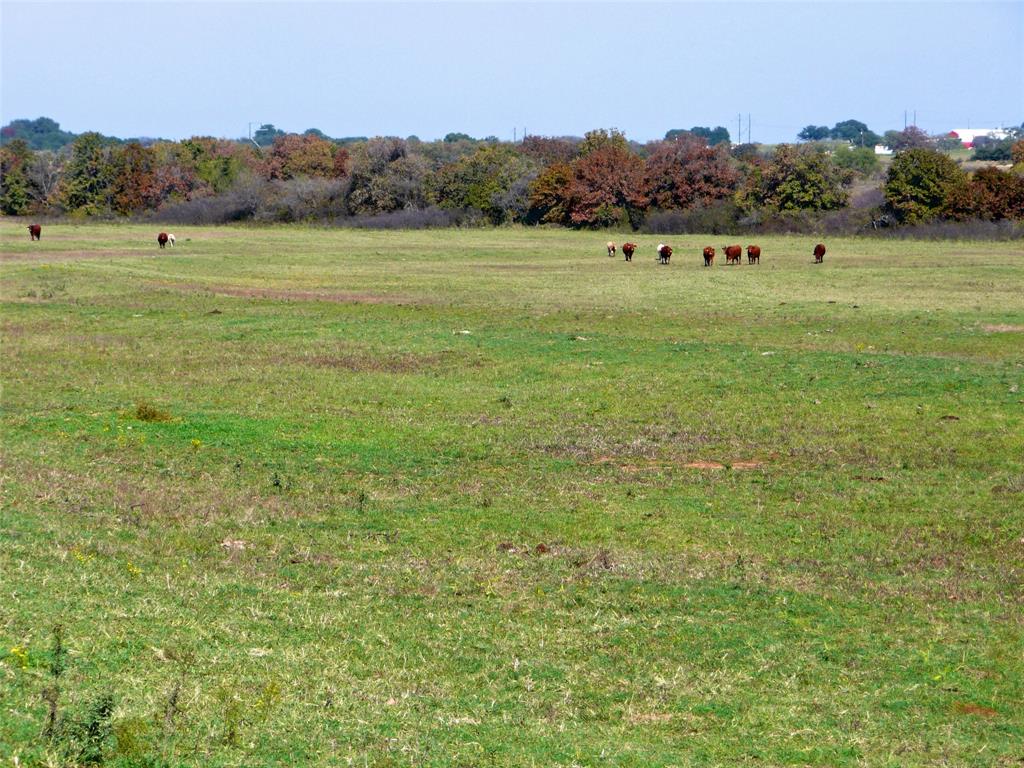 TBD County Road 300