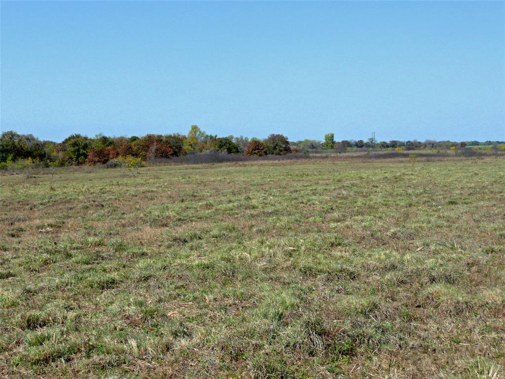 TBD County Road 300