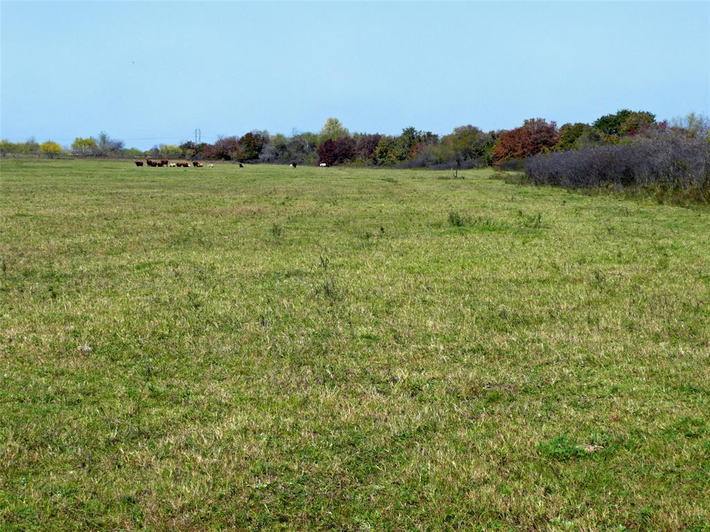 TBD County Road 300