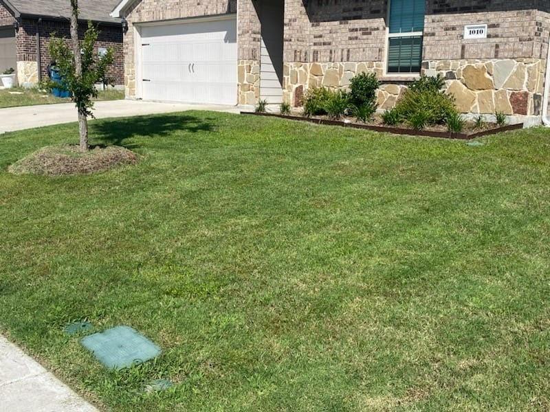 Magnolia - Residential Lease