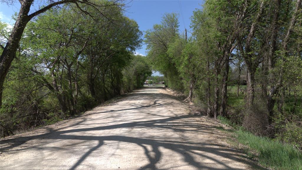 Sara Cook Surv Abs # 1043 - Land