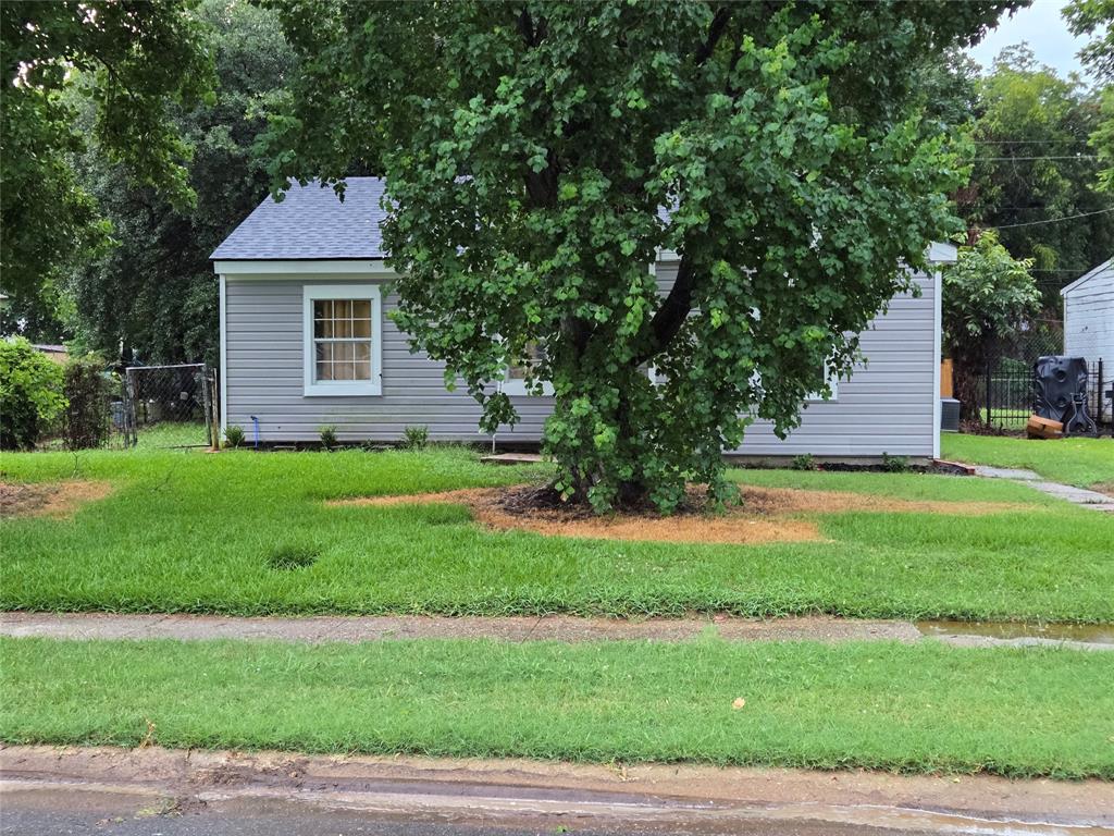 2620 Tulip Street