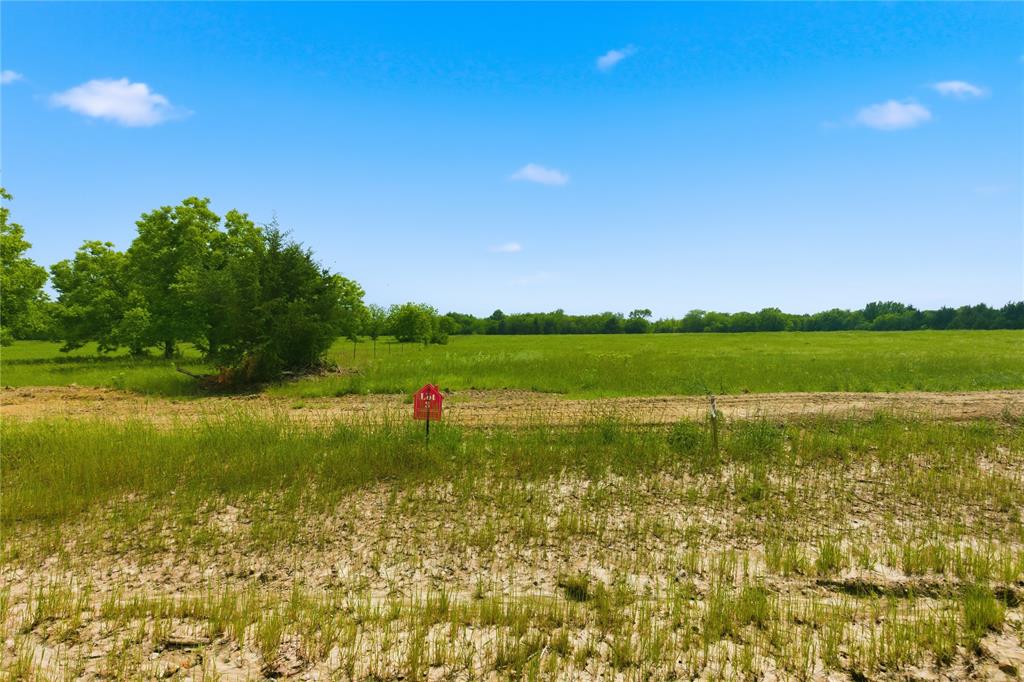 Buffalo Creek - Land
