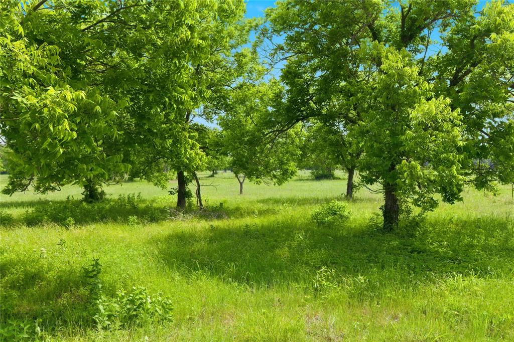 Buffalo Creek - Land