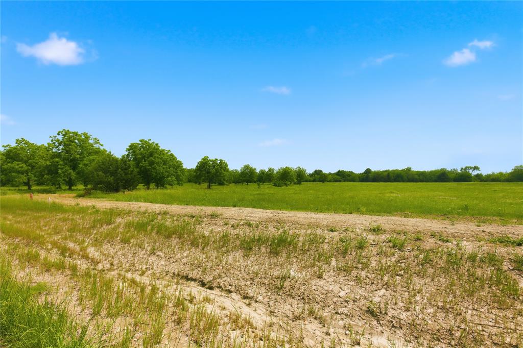 Buffalo Creek - Land