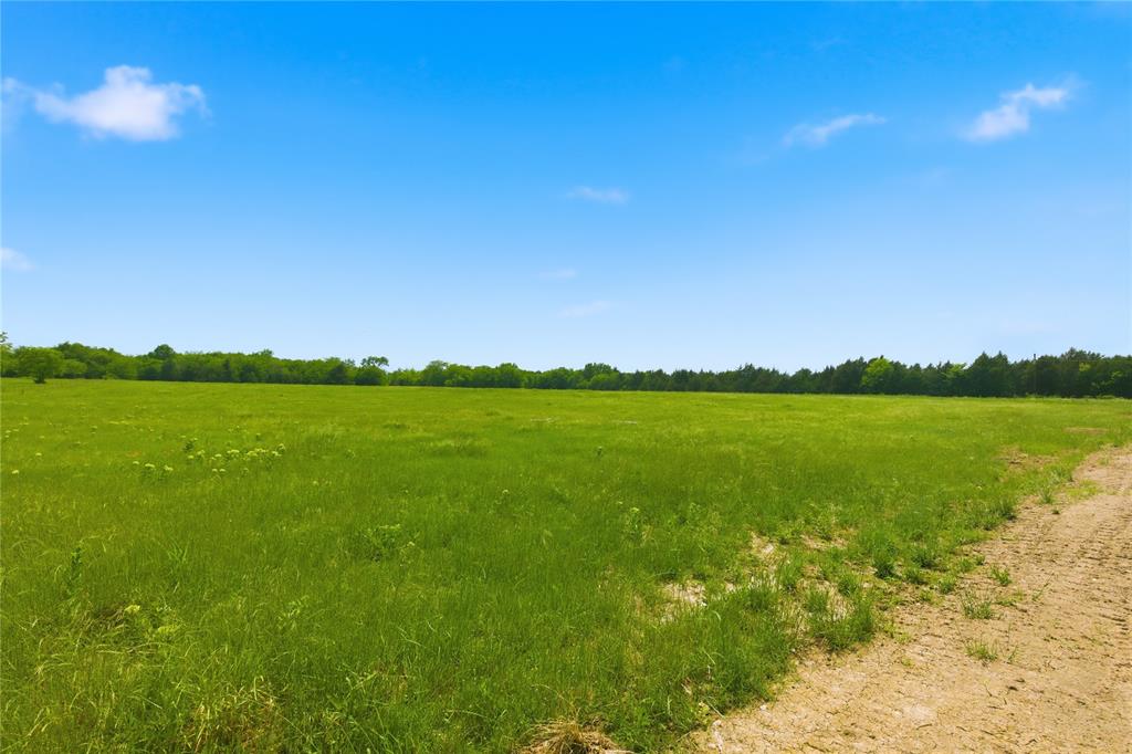 Buffalo Creek - Land