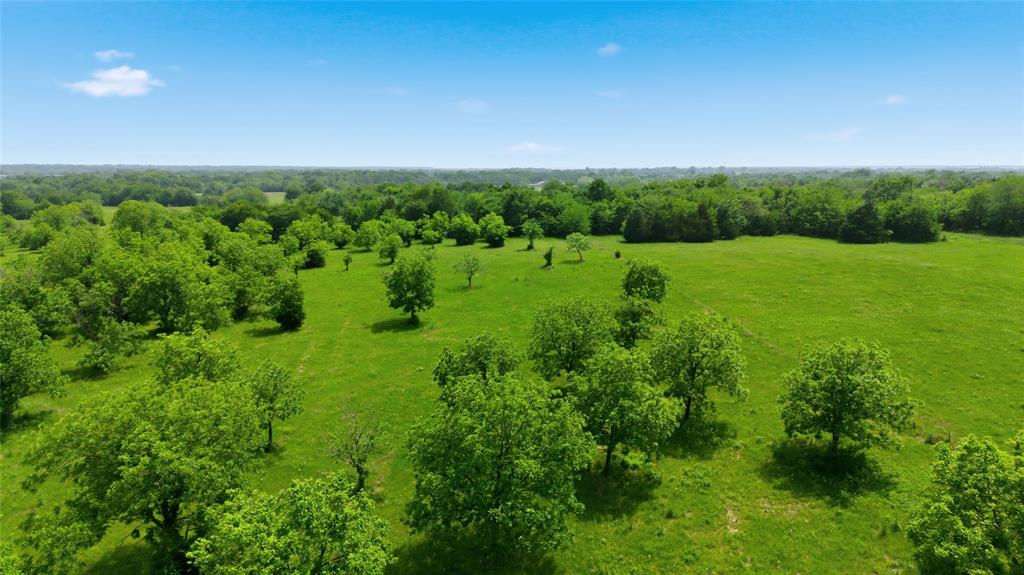 Buffalo Creek - Land