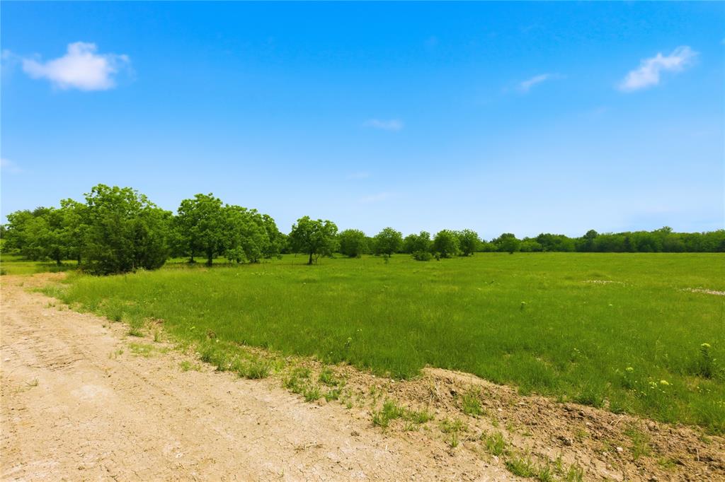 Buffalo Creek - Land