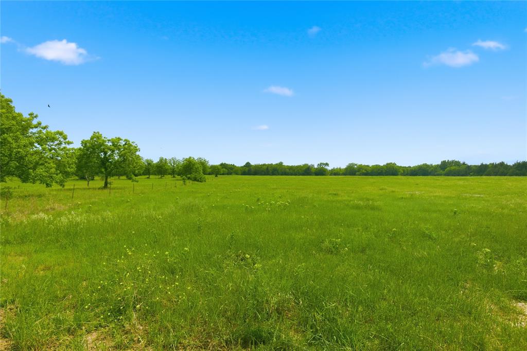 Buffalo Creek - Land
