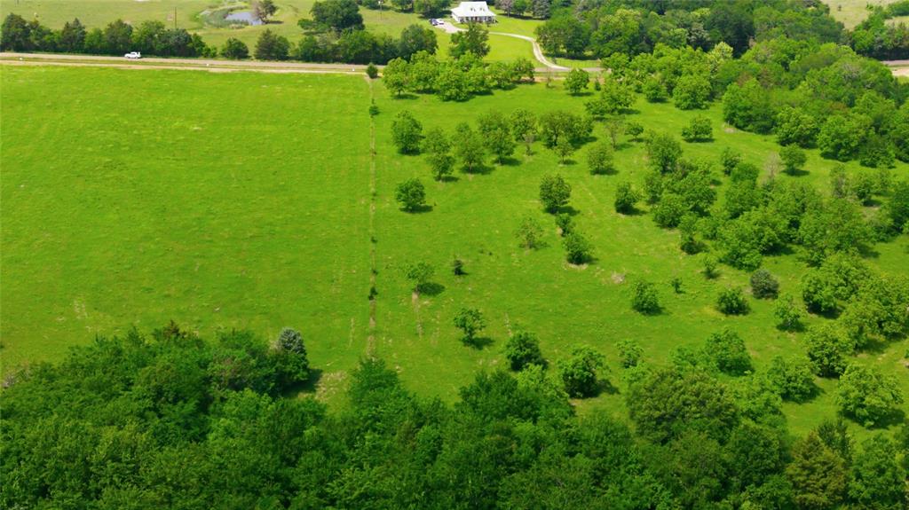 Buffalo Creek - Land