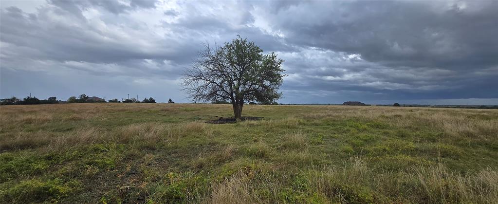 Robert Scaggs Survey - Land