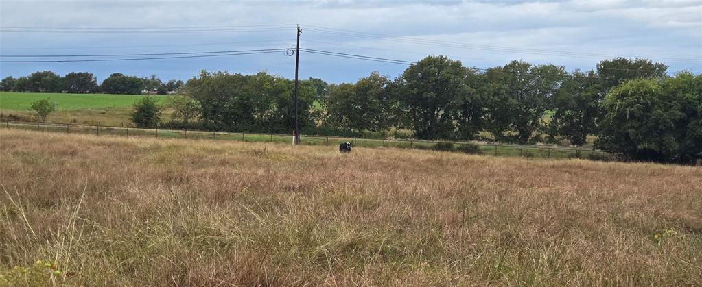 Robert Scaggs Survey - Land