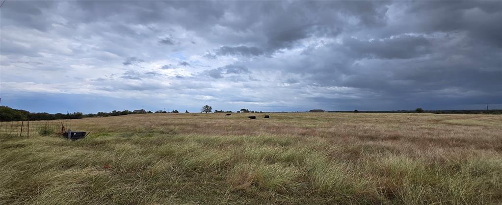 Robert Scaggs Survey - Land