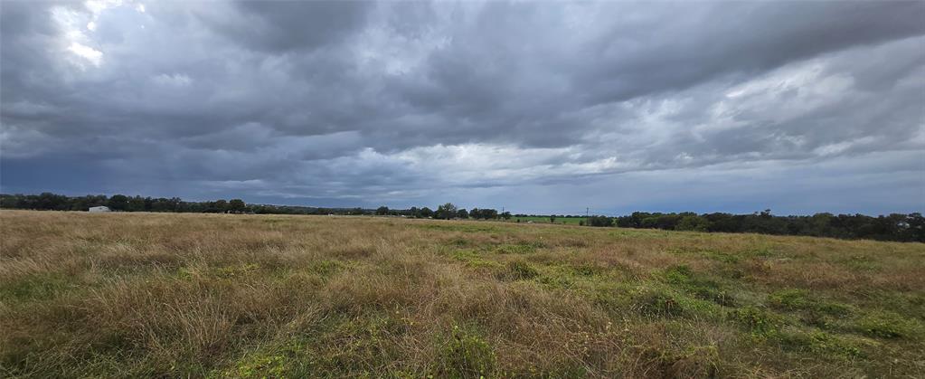 Robert Scaggs Survey - Land