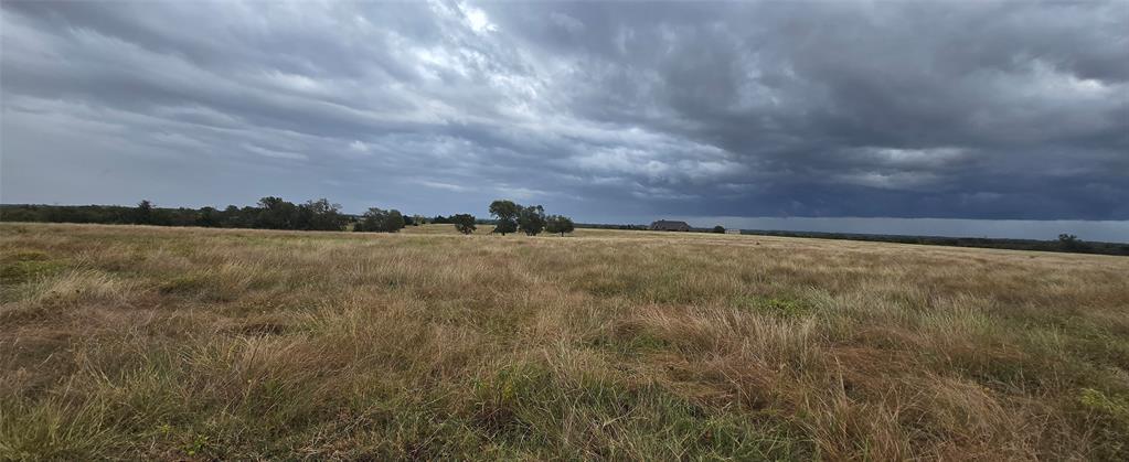 Robert Scaggs Survey - Land