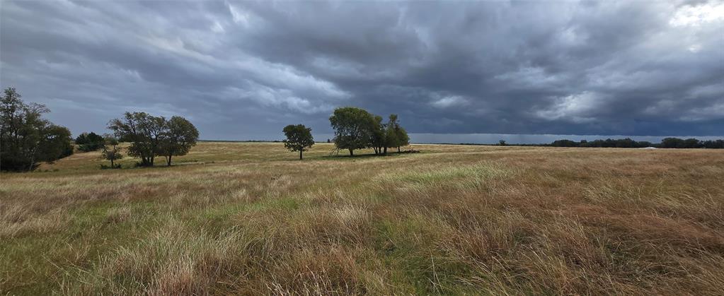 A0801 Custer Road