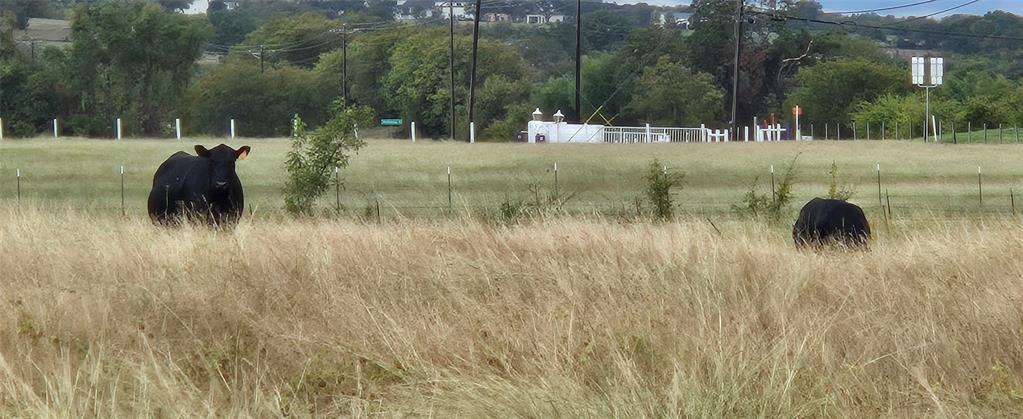 Robert Scaggs Survey - Land