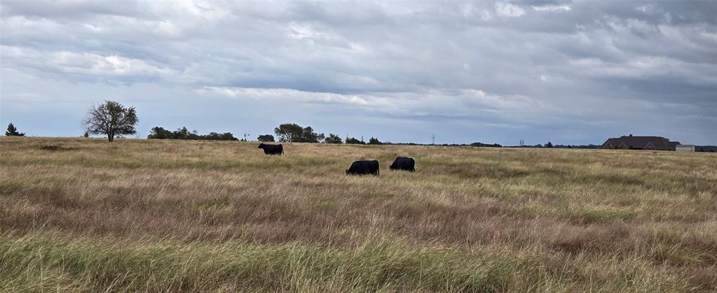 Robert Scaggs Survey - Land