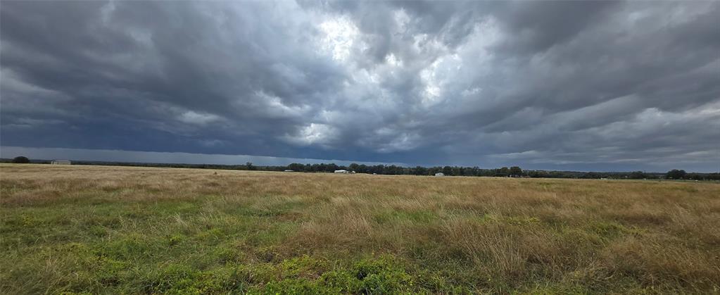 Robert Scaggs Survey - Land