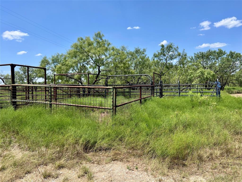 0000 County Road 338