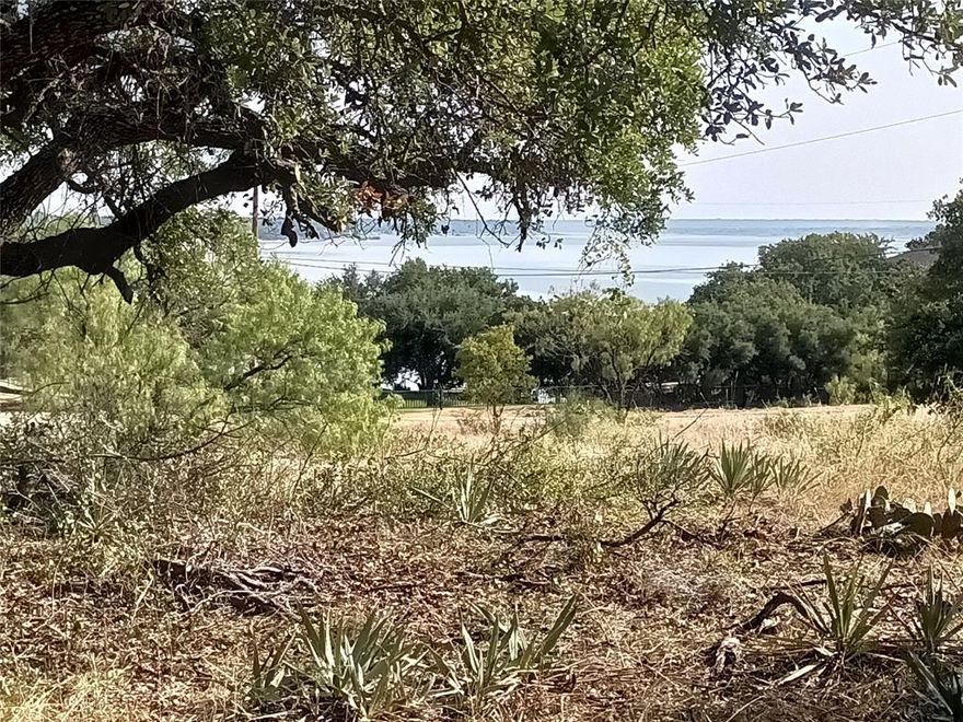 Not just 1 lot but 2 lots in George Baugh Subdivision with an elevated lot with a great lakeview.  Heavily treed lot with brush, that can be cleared off and make a great lot to build your dream home on, very close to Lake Brownwood, boat ramps, and close proximity to the Hideout Resort. This site is perfect for ranch style home with room for a basement, with a view of the lake!