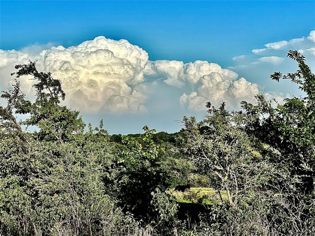 0000 FM 3206