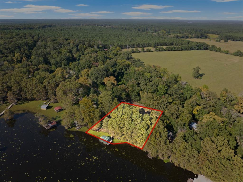 229 County Rd 3637