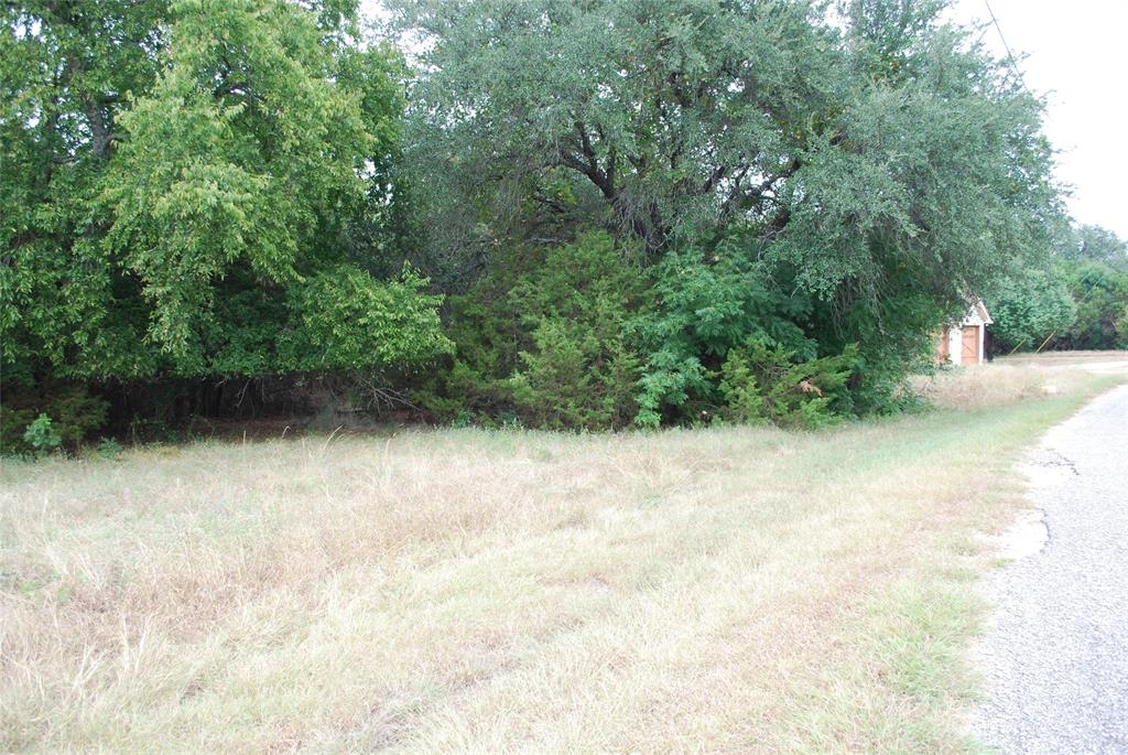 White Bluff #13 - Land