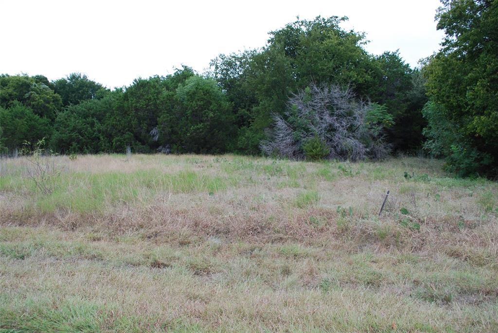 White Bluff #13 - Land