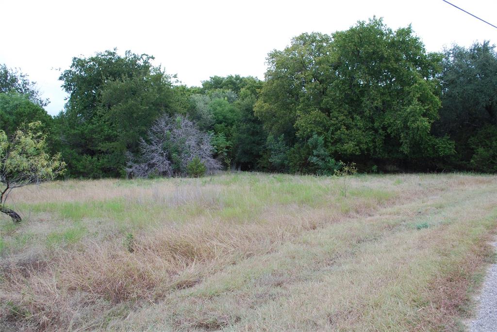 White Bluff #13 - Land