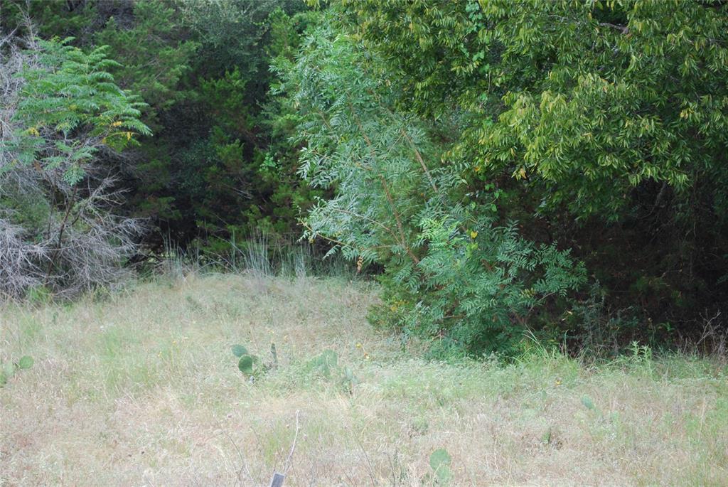 White Bluff #13 - Land