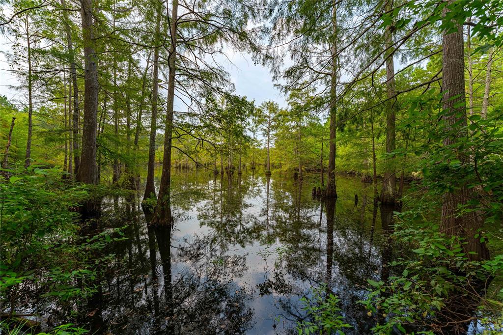 Big Cypress Bayou - Land