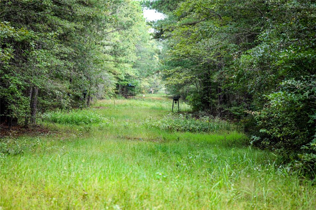 Big Cypress Bayou - Land