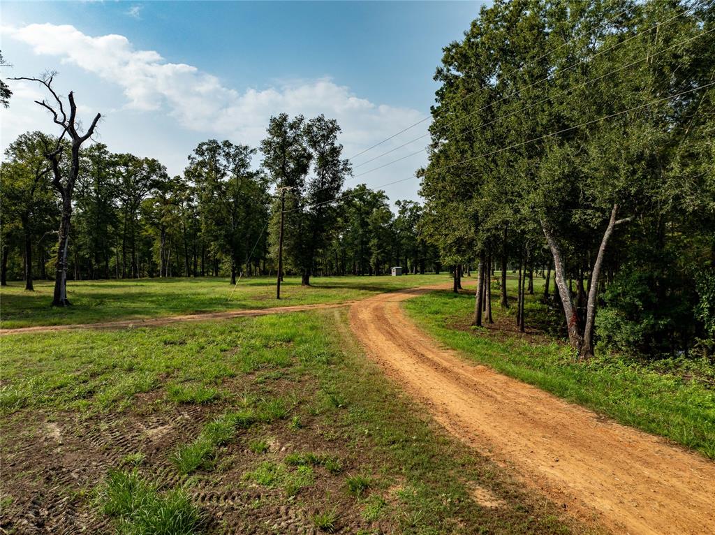 Big Cypress Bayou - Land