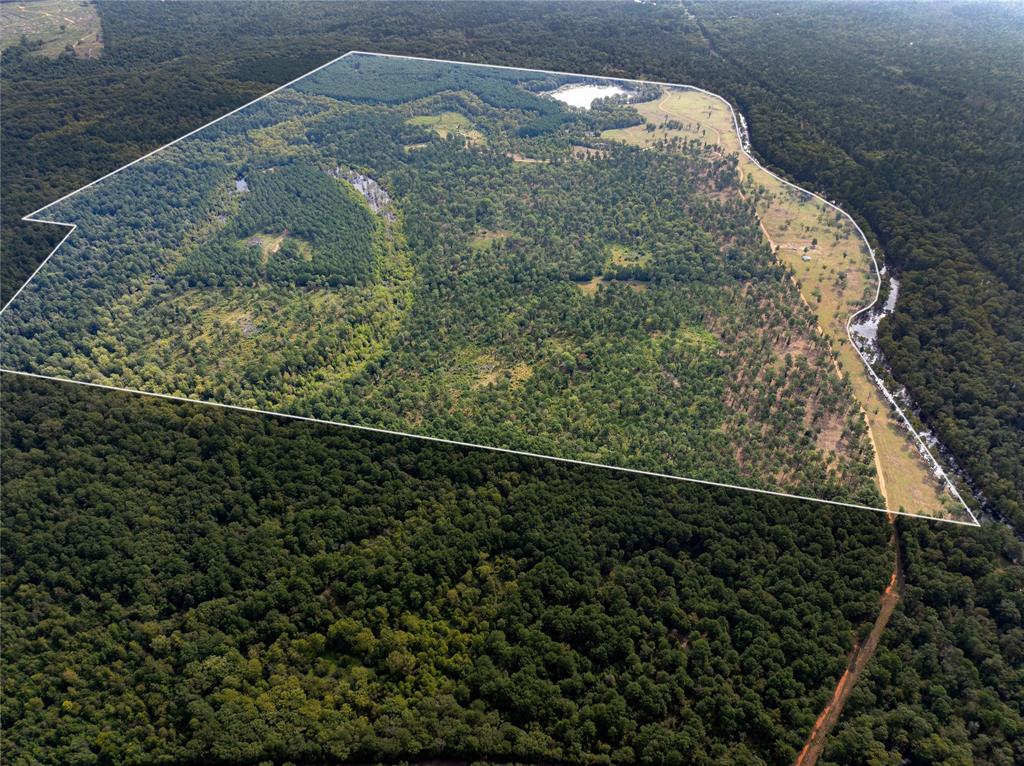 Big Cypress Bayou - Land