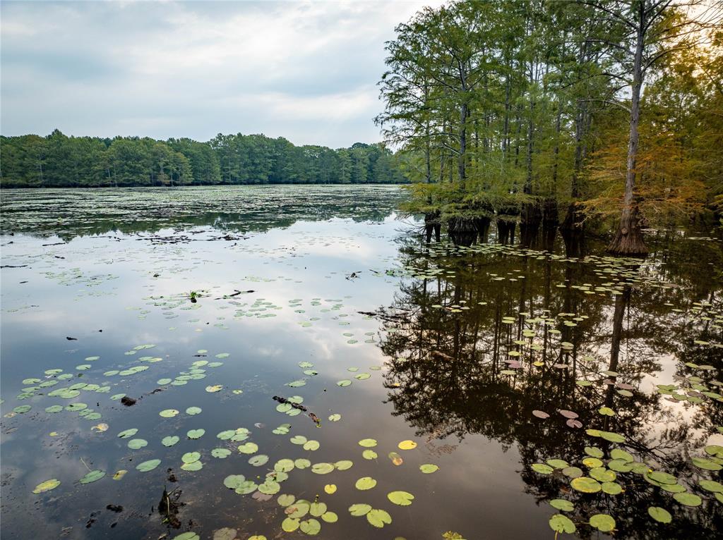 Big Cypress Bayou - Land