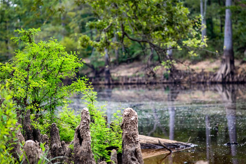 Big Cypress Bayou - Land