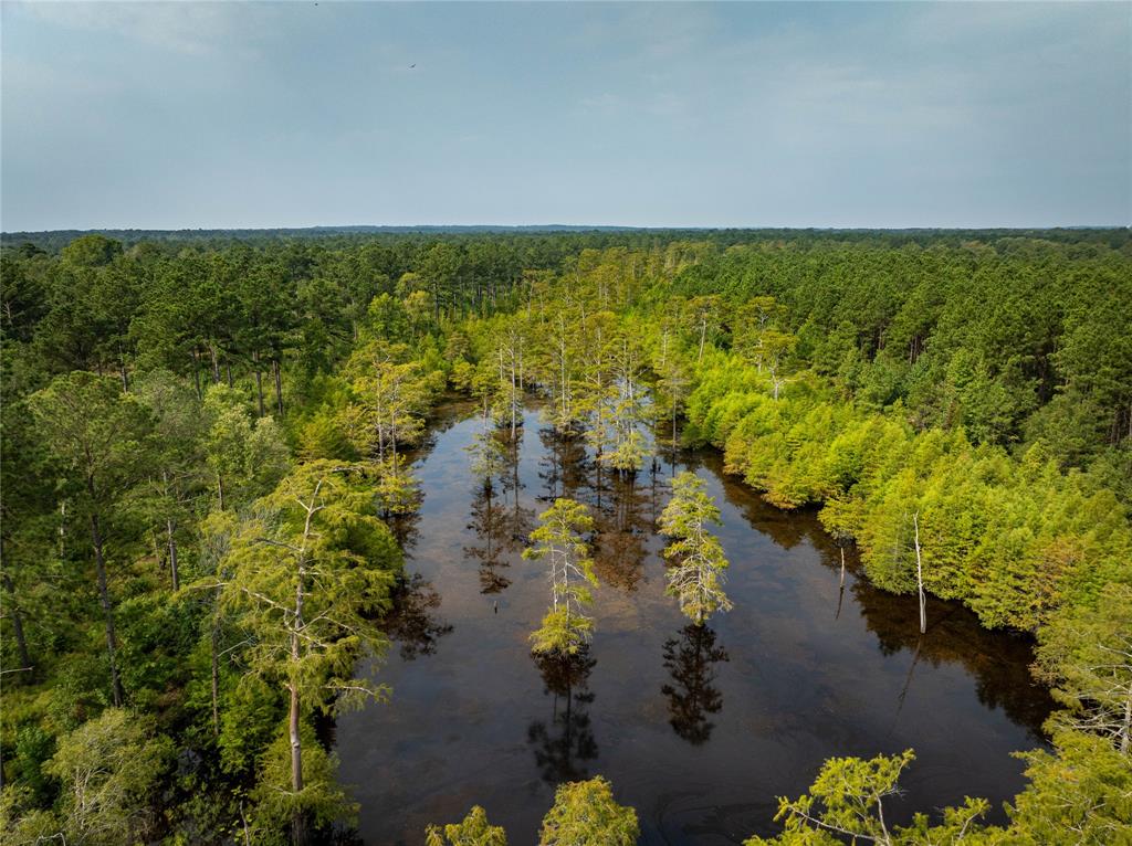 Big Cypress Bayou - Land