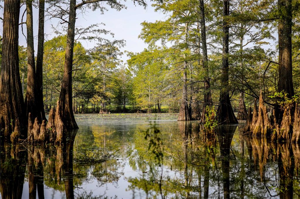 Big Cypress Bayou - Land