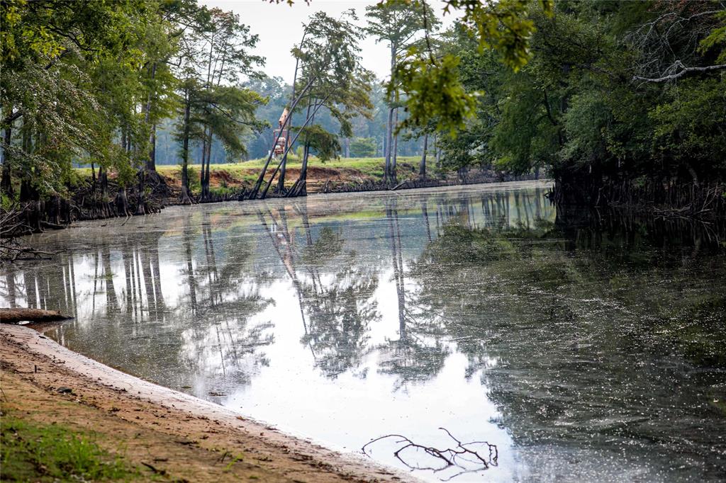 Big Cypress Bayou - Land