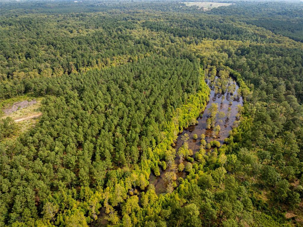 Big Cypress Bayou - Land