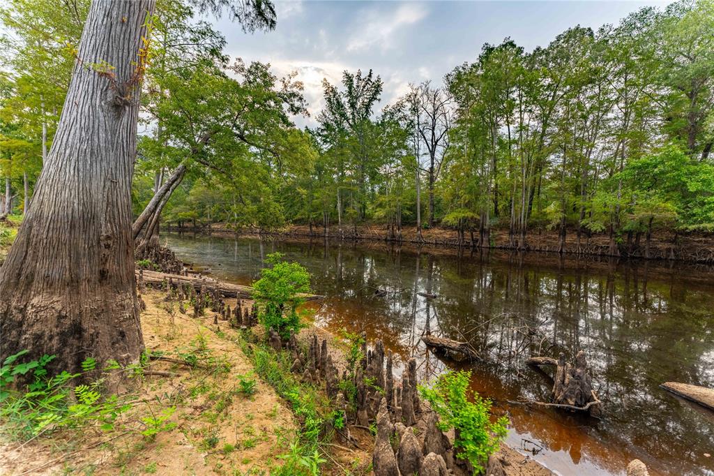Big Cypress Bayou - Land